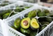 Fresh Kenyan Avocados